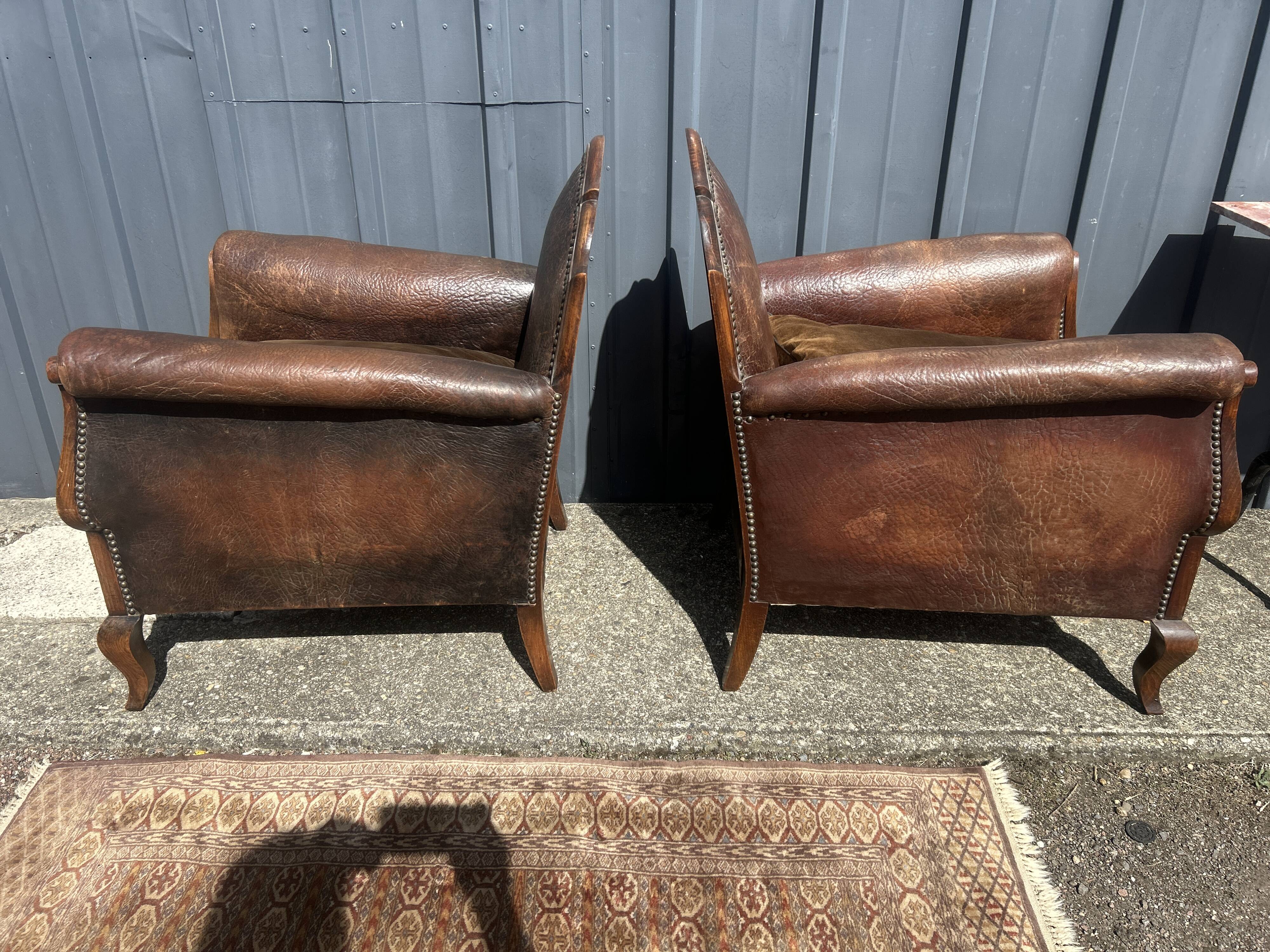 Pair of club armchairs in wood and leather, early 20th century.