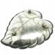 R1J Art Nouveau platter in the shape of a leaf