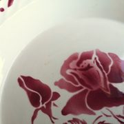 Digoin Sarreguemines plate