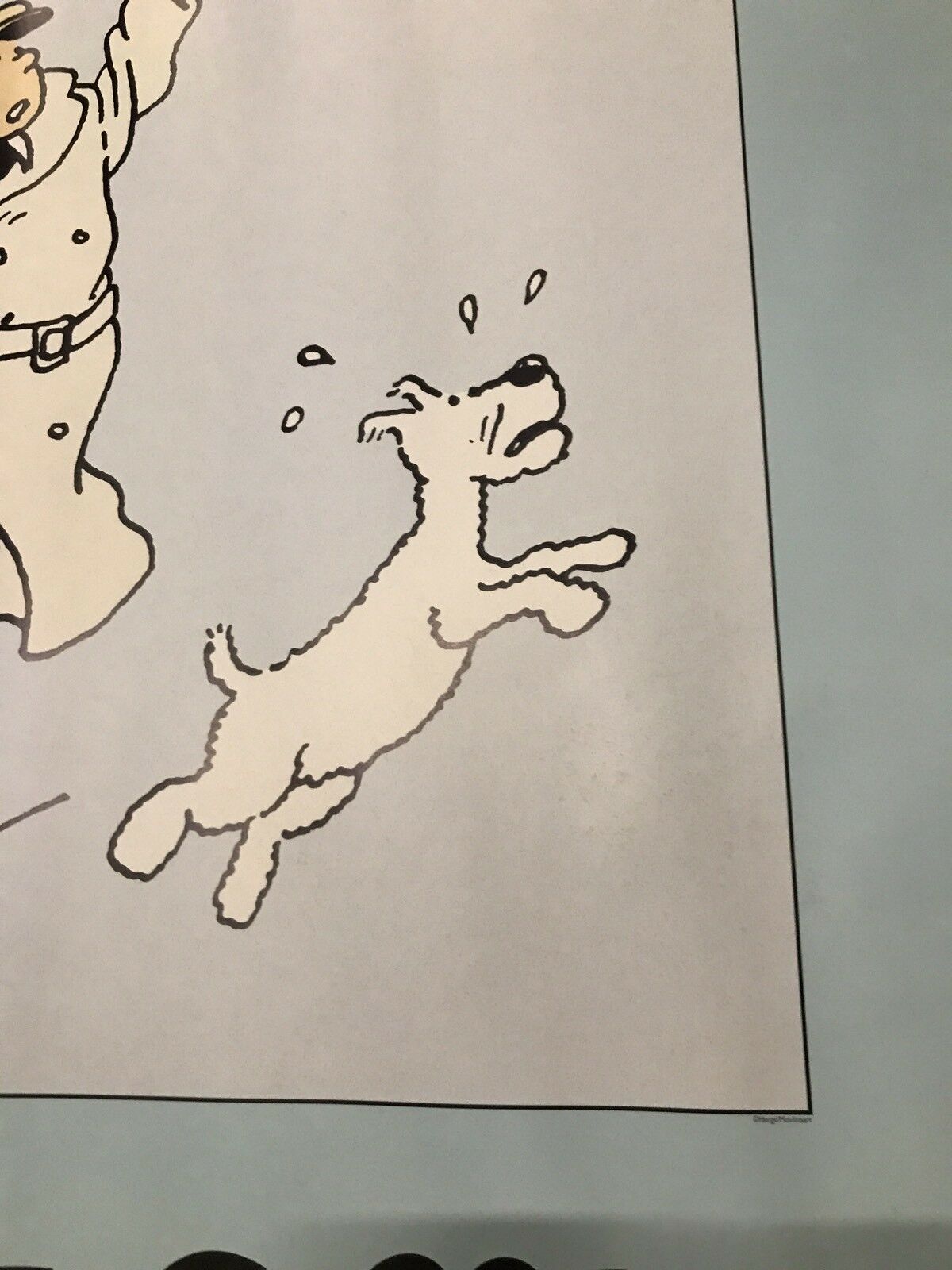 Great shows, the adventures of Tintin, the broken ear