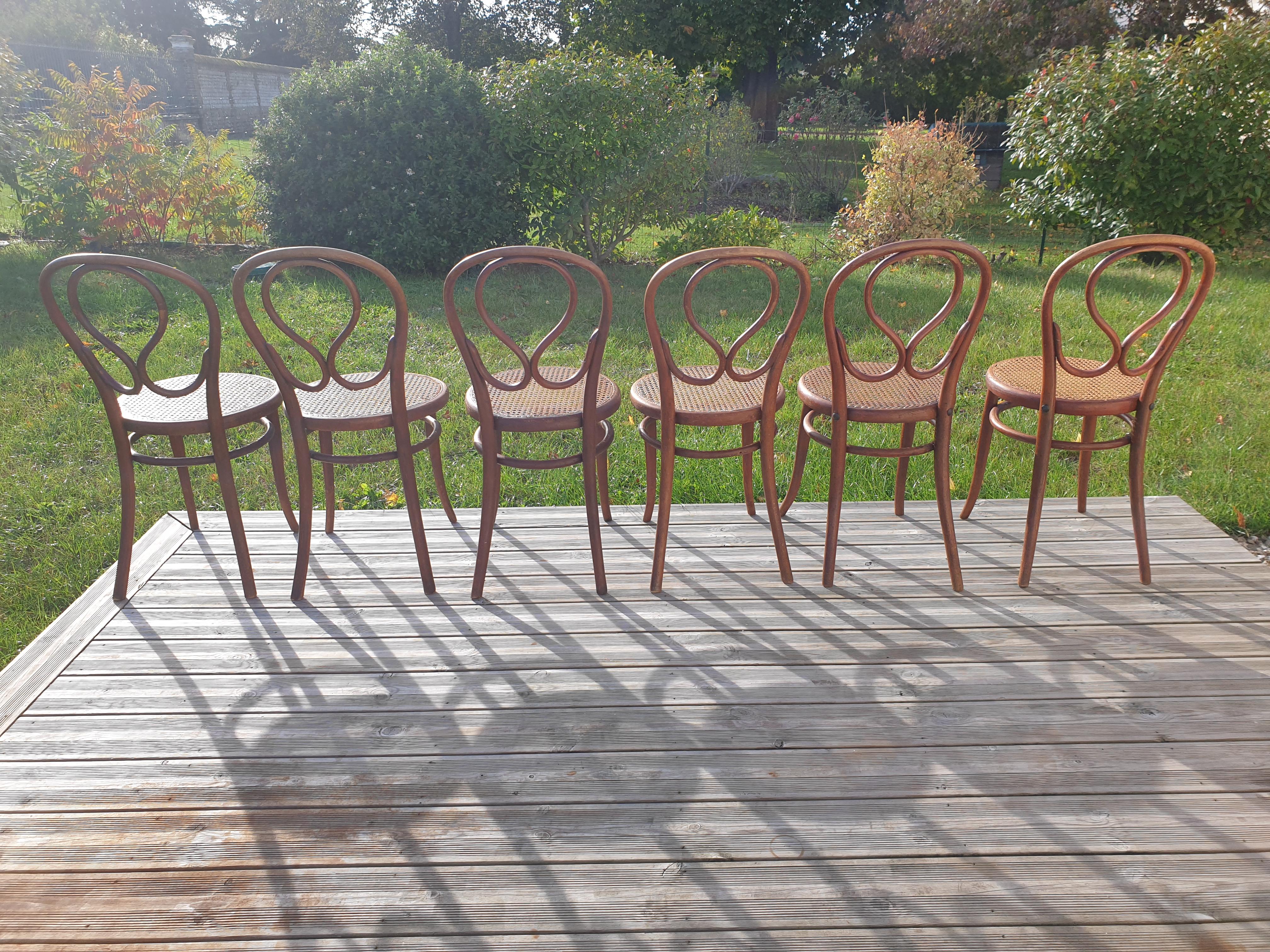 Série de 6 chaises Thonet N°20 Omega