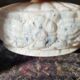 Art Deco Pink Opaline Glass Suspension Lamp Shade Rose Detail
