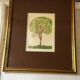 Original signed drawing – Tree with birds - frame 33/28 cm