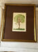 Dessin original signé – Arbre aux oiseaux - cadre 33/28 cm