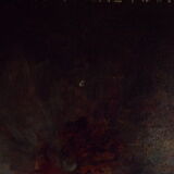 Still life bouquet of Peonies