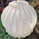 Molded glass hanging globe