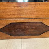 Biedermeier Mirror in Mahogany, Birch & Thuja Roots Wood, Austria, 1820s