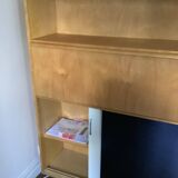 Secretary Cees Braakman BB54 Pastoe