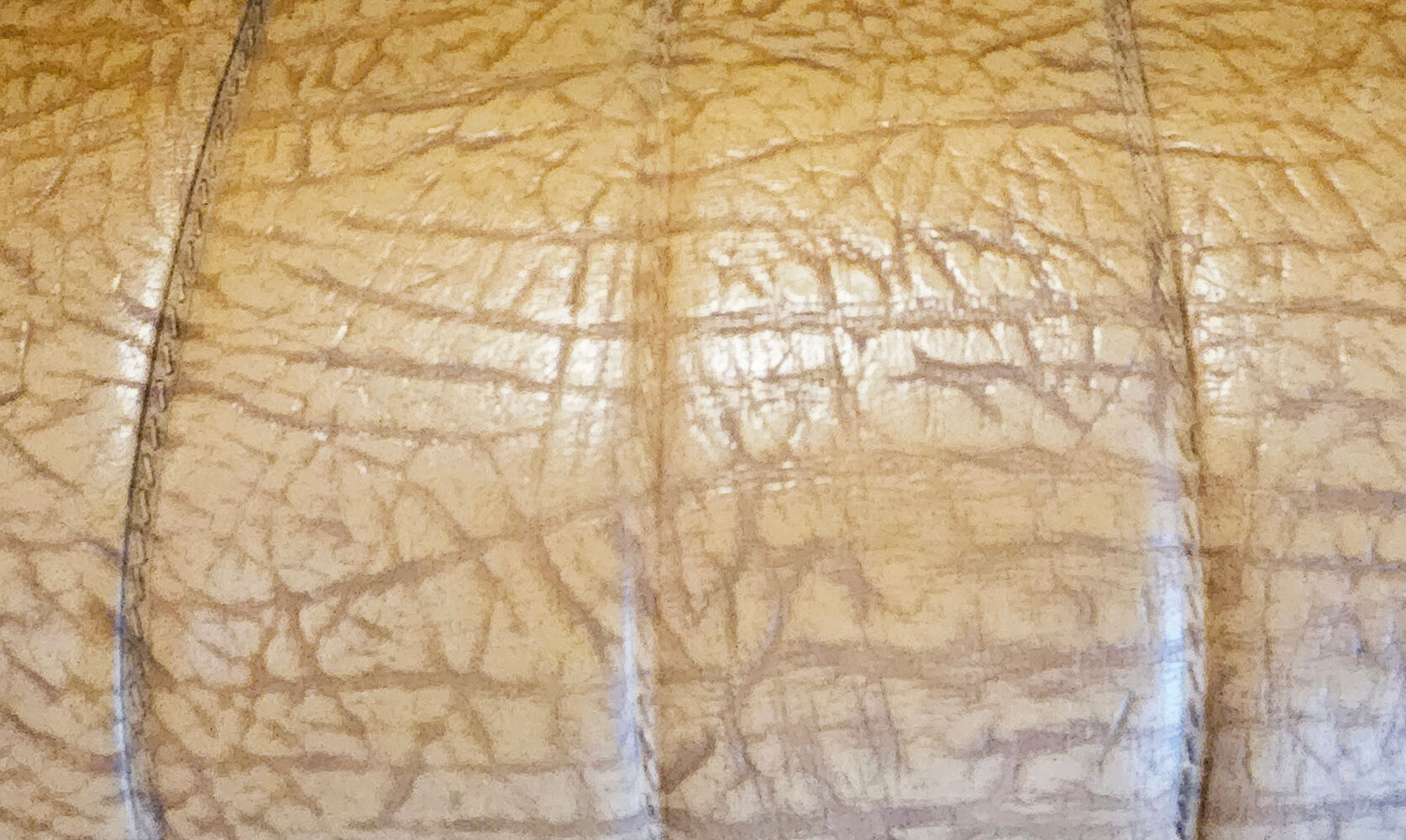 Pair of mustard skaï armchairs, brass feet