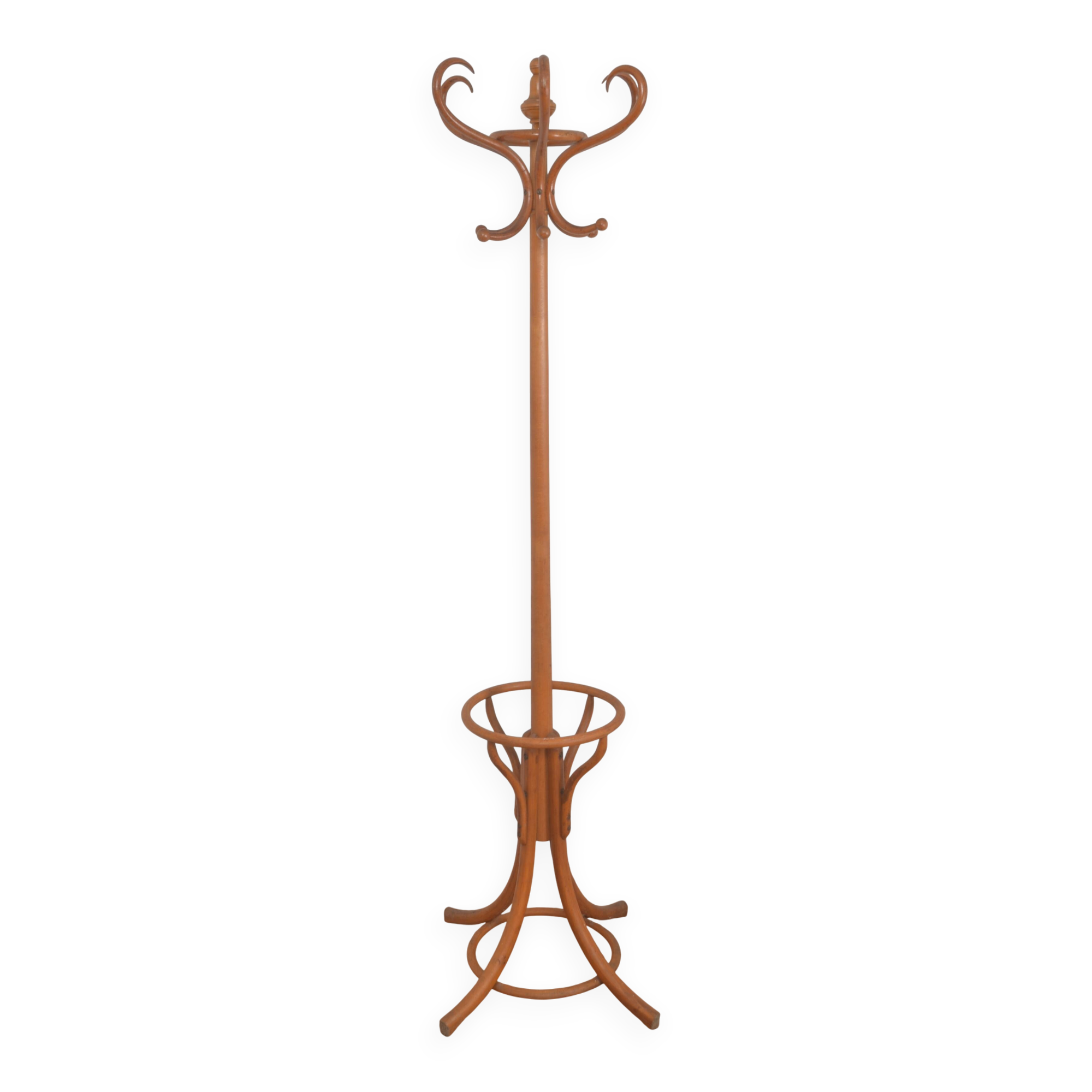 Porte manteau perroquet en bois courbé