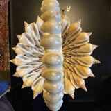 Shell basket