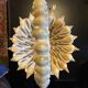 Panier coquillages