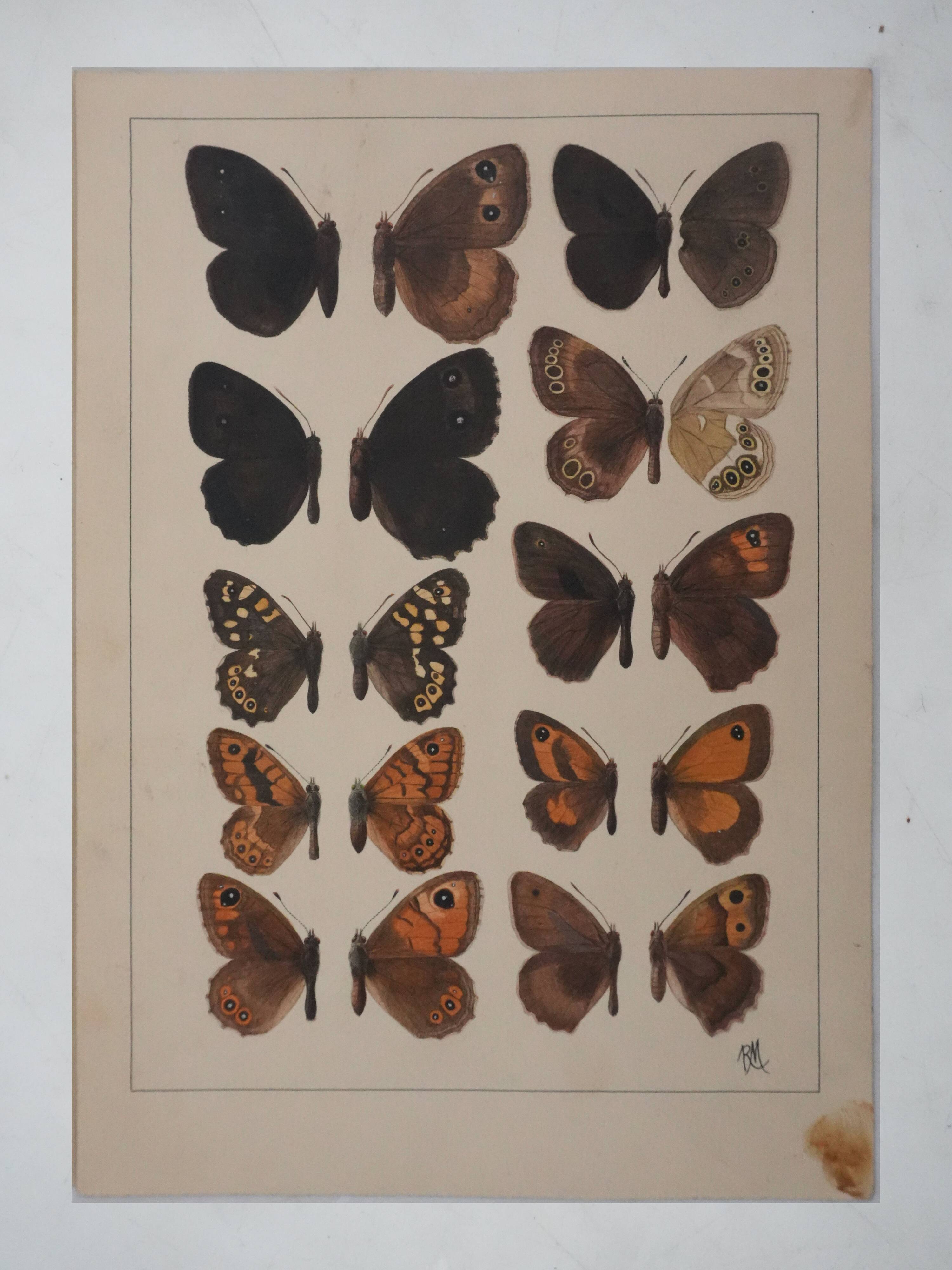 Small brown and orange butterflies, original signed watercolour, Roger METAYE.