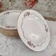 Lot de 12 assiettes creuses l'amandinoise frise dorure et roses anciennes. en demi-porcelaine poreyl