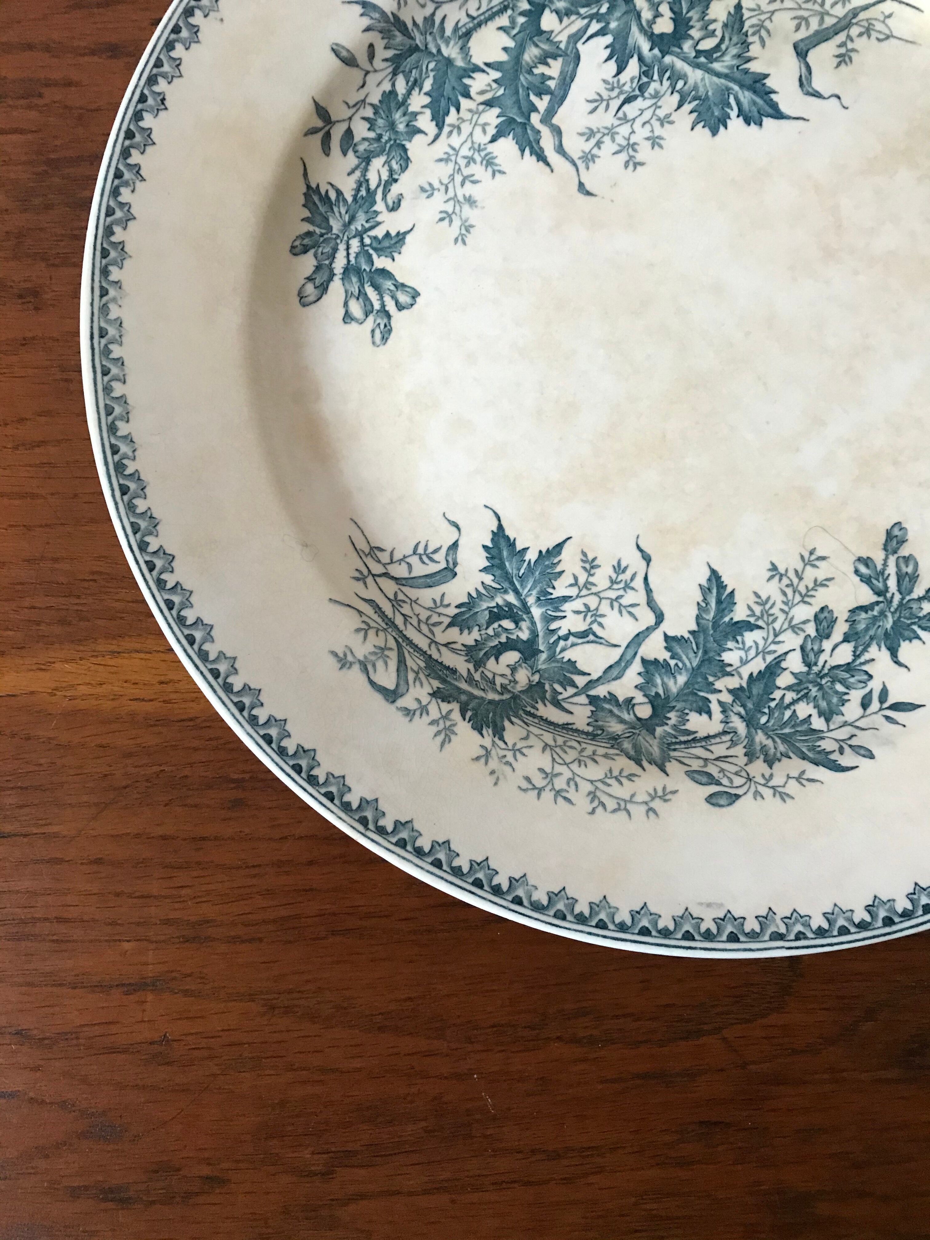 Lot 6 flat plates iron earth Thistle