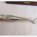 Silver metal sugar clamp in its case