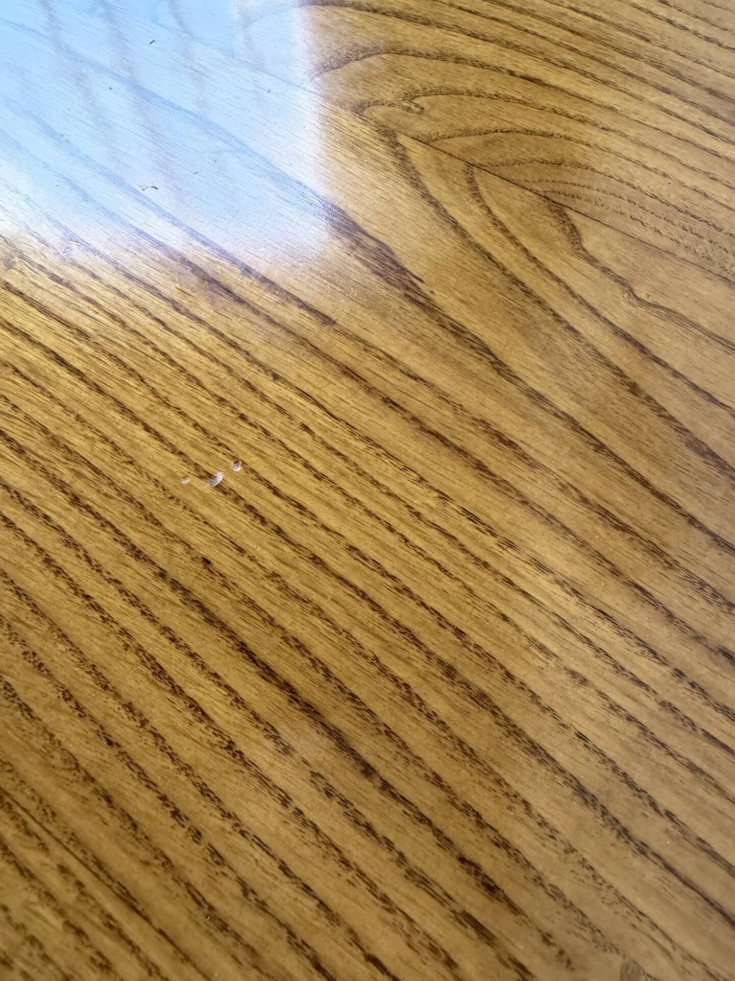 1950s round tripod oak coffee table