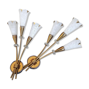 Paire d'appliques arum,