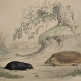 Original Zoological Plate "Guinea Pig, Mole,... - Buffon 1836