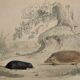 Original Zoological Plate "Guinea Pig, Mole,... - Buffon 1836