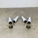 Pair of 1950s wall lights, opaline and brass tulips, Lunel Arlus