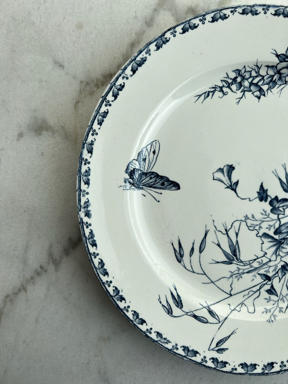 Flat plates Sarreguemines Carmen collection