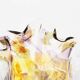 Set of 2 Brass and Muranoglass ‘Shell’ wall sconces by La Murrina