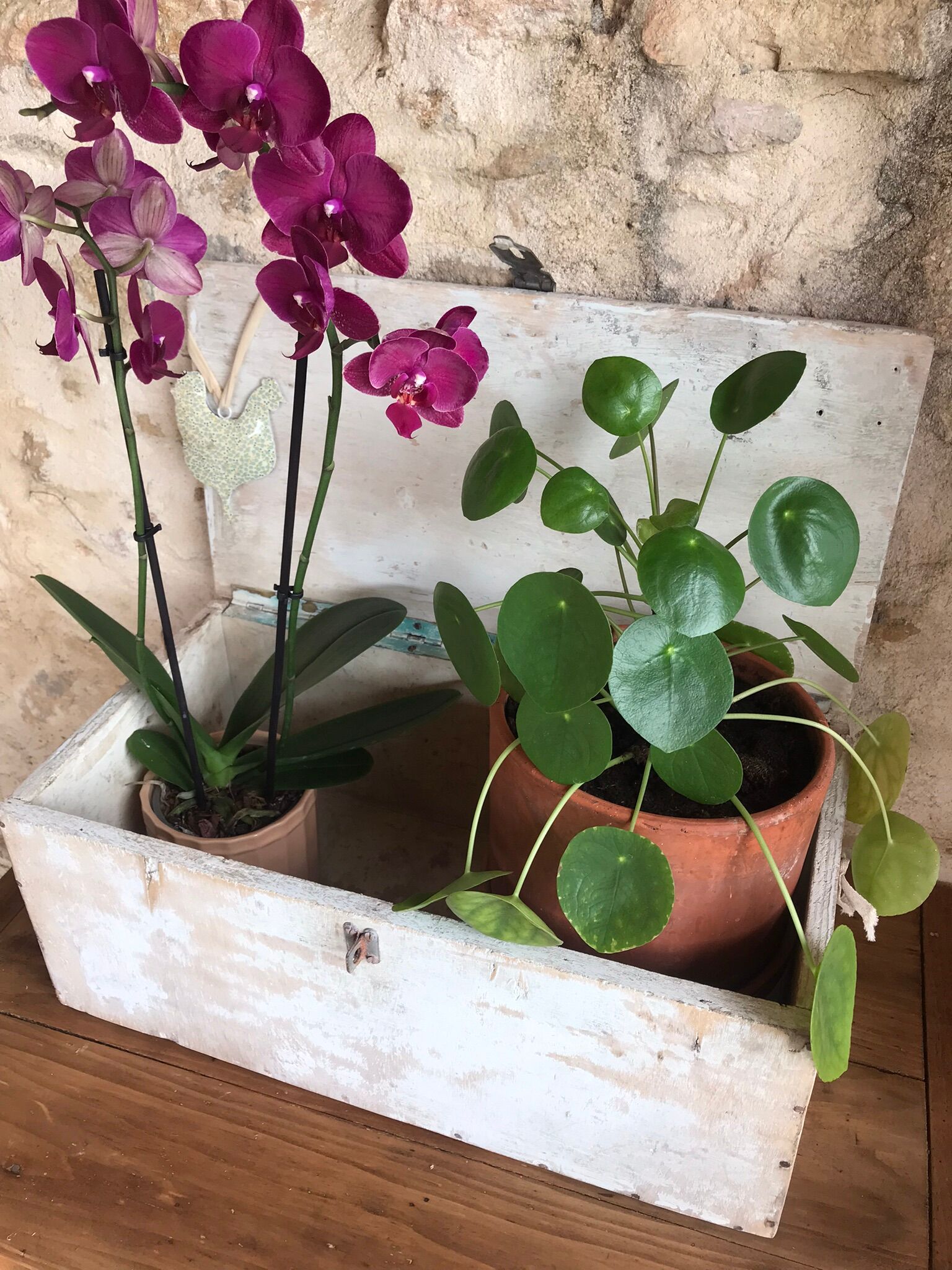 Wooden storage chest
