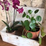 Wooden storage chest