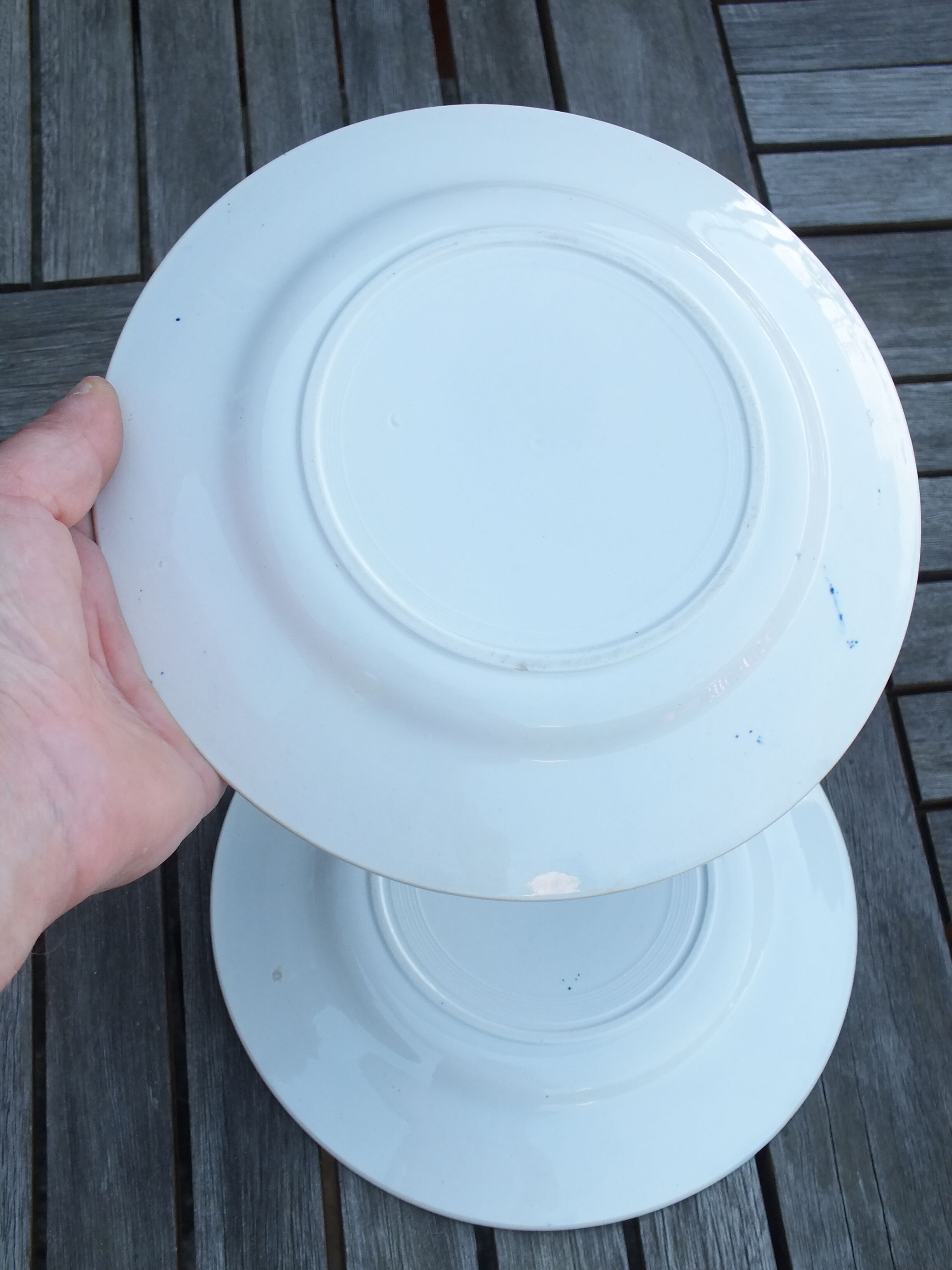 Duo of old plates in Iron Earth decorated with birds and butterflies