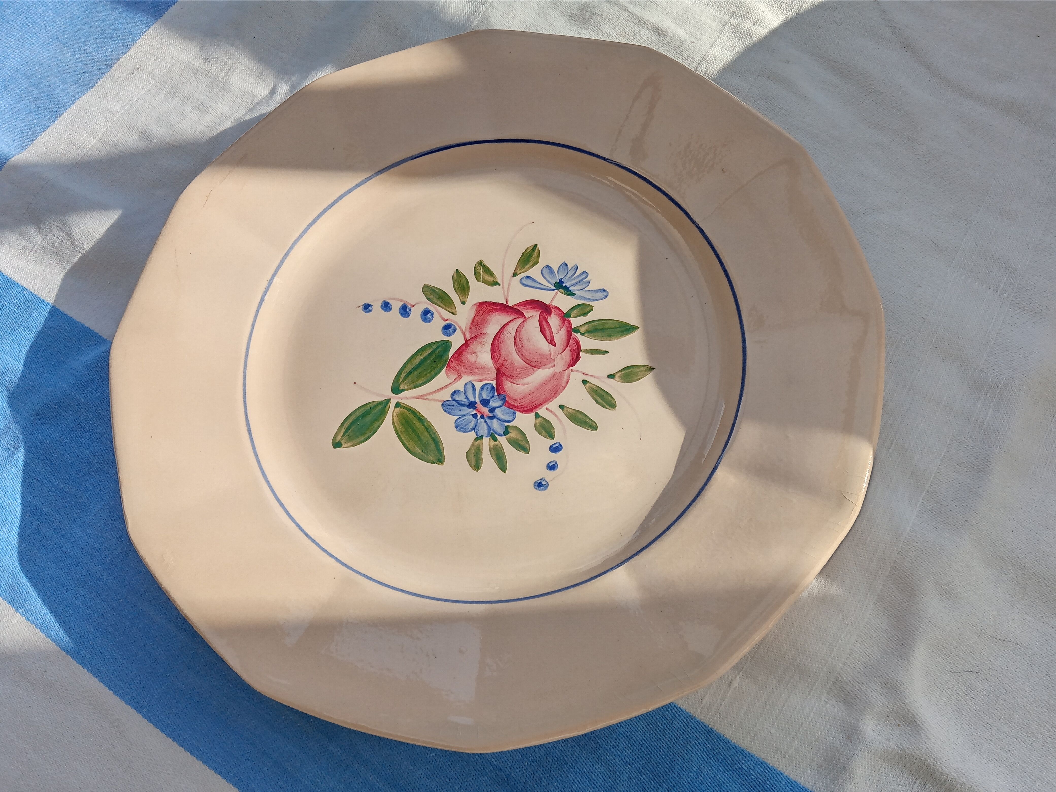 12 flat plates Digoin