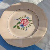 12 flat plates Digoin