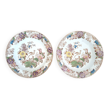Set of 2 antique Longwy plates - Anemone model / Anemones