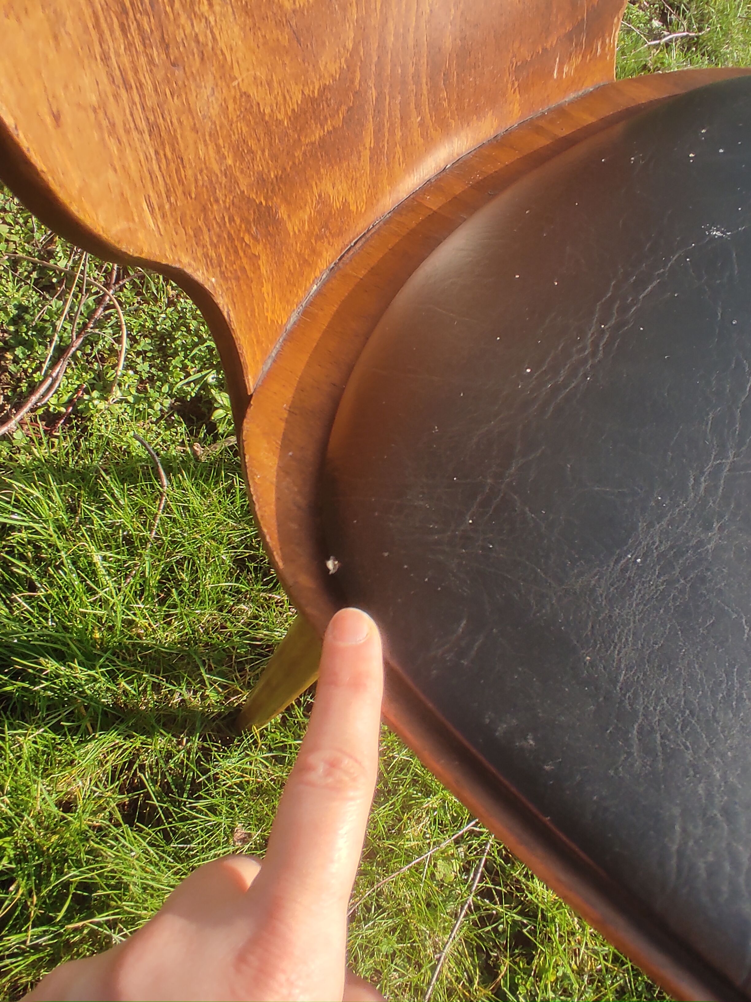 Baumann X6 chairs, Ant model