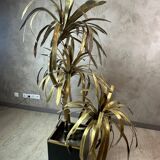 Jansen House Tree