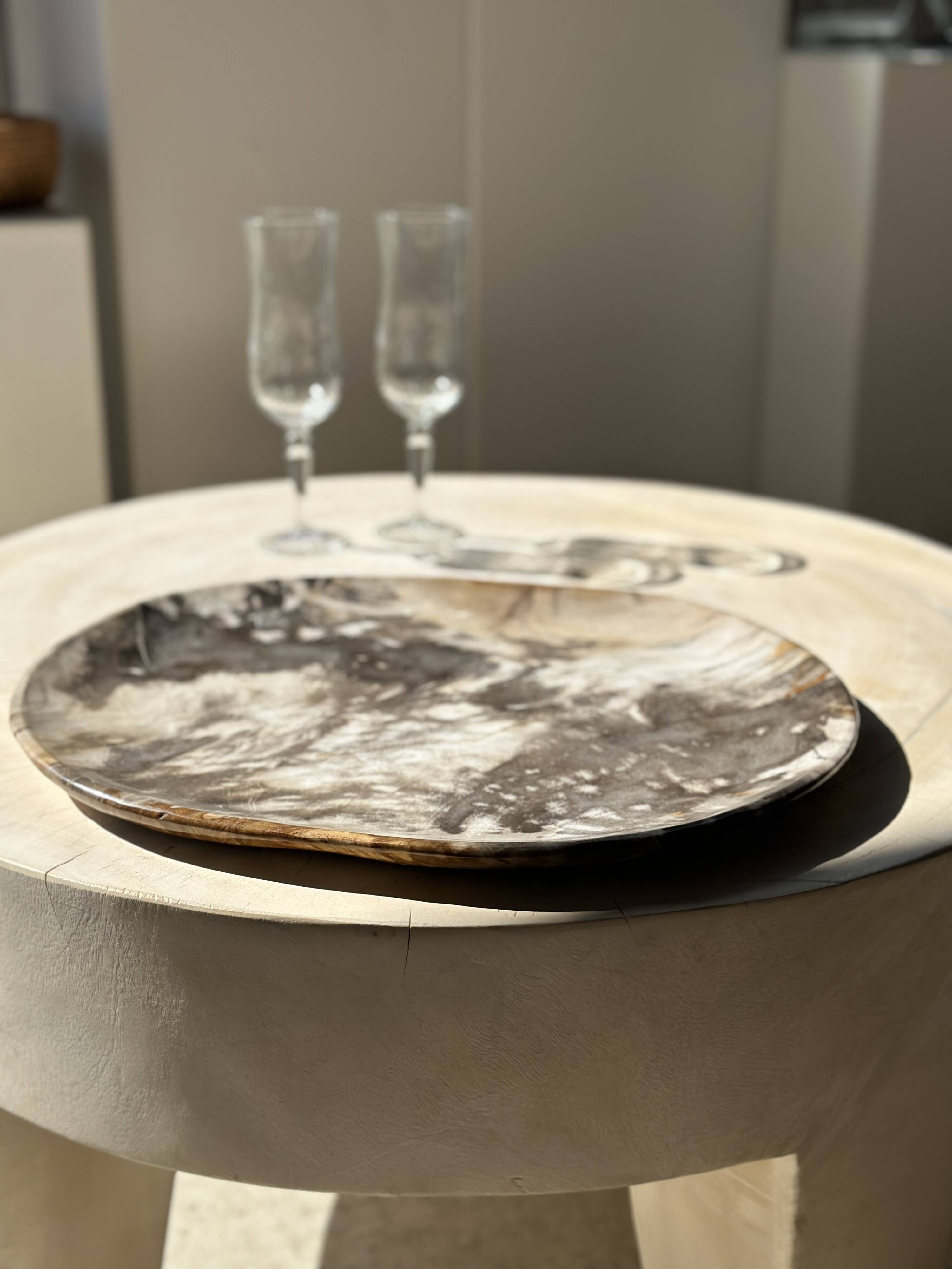 Very large pocket or dish in petrified wood
