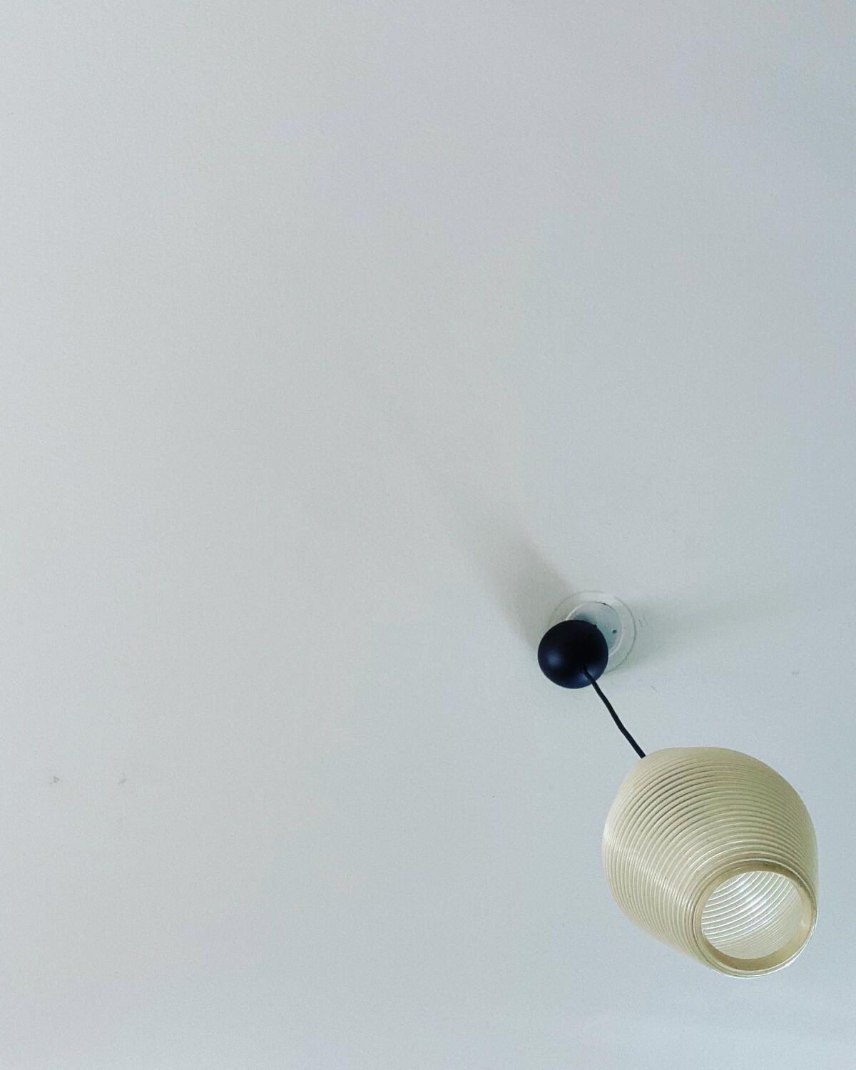 Rotaflex pendant light