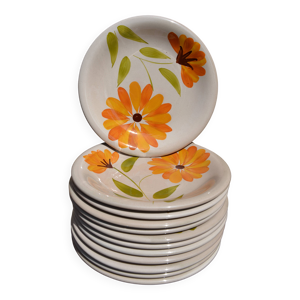 12 assiettes ''Primula'' - italy