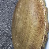 Blue and gold Venetian tray