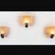 Rare Set of 5 Sconces by Albano Poli for Poliarte 1960s