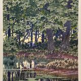 Watercolor "the pond in the undergrowth" signed early XX °