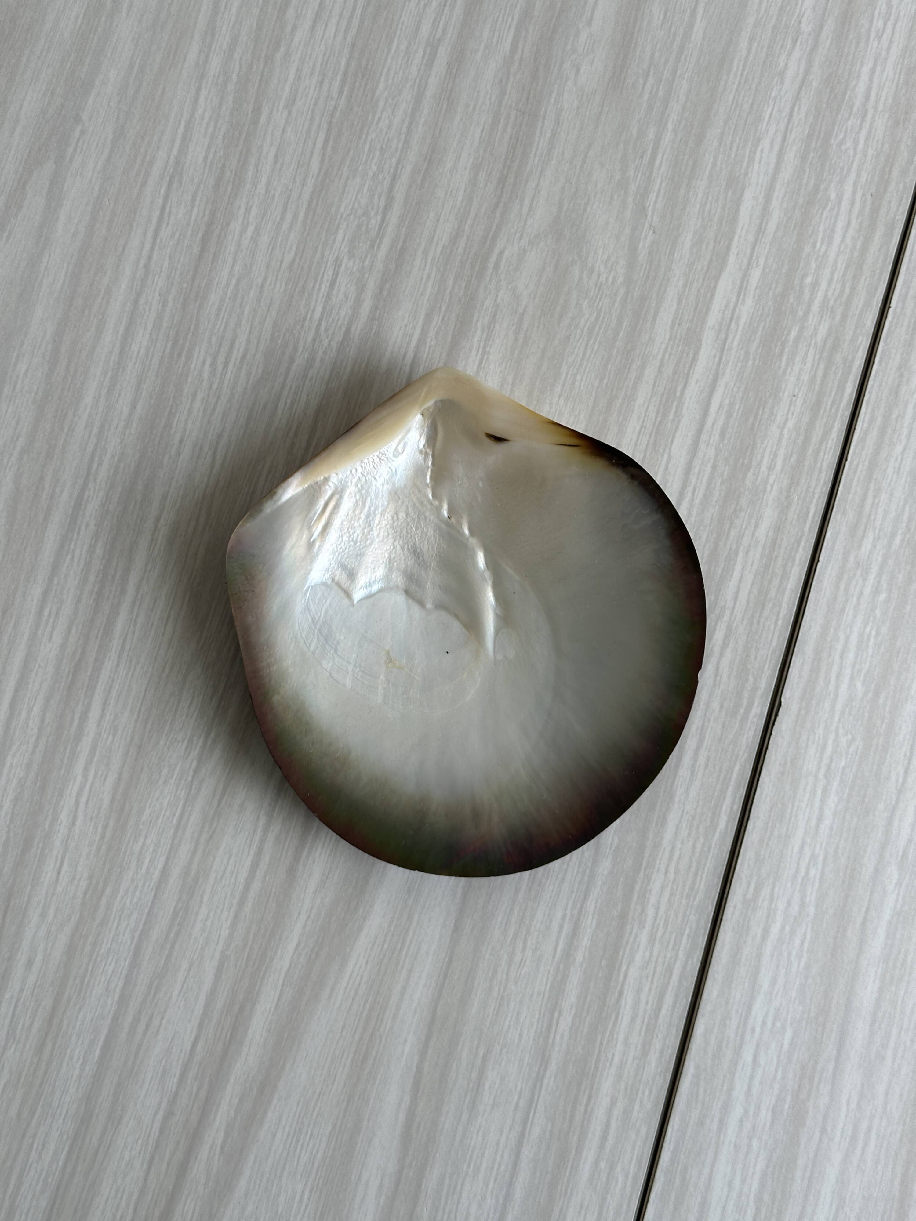 Mother-of-pearl pocket emptier