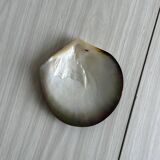 Mother-of-pearl pocket emptier