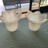 Tulips frosted glass