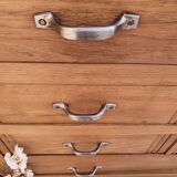 Art Deco Parisian wardrobe