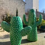 Cactus vase