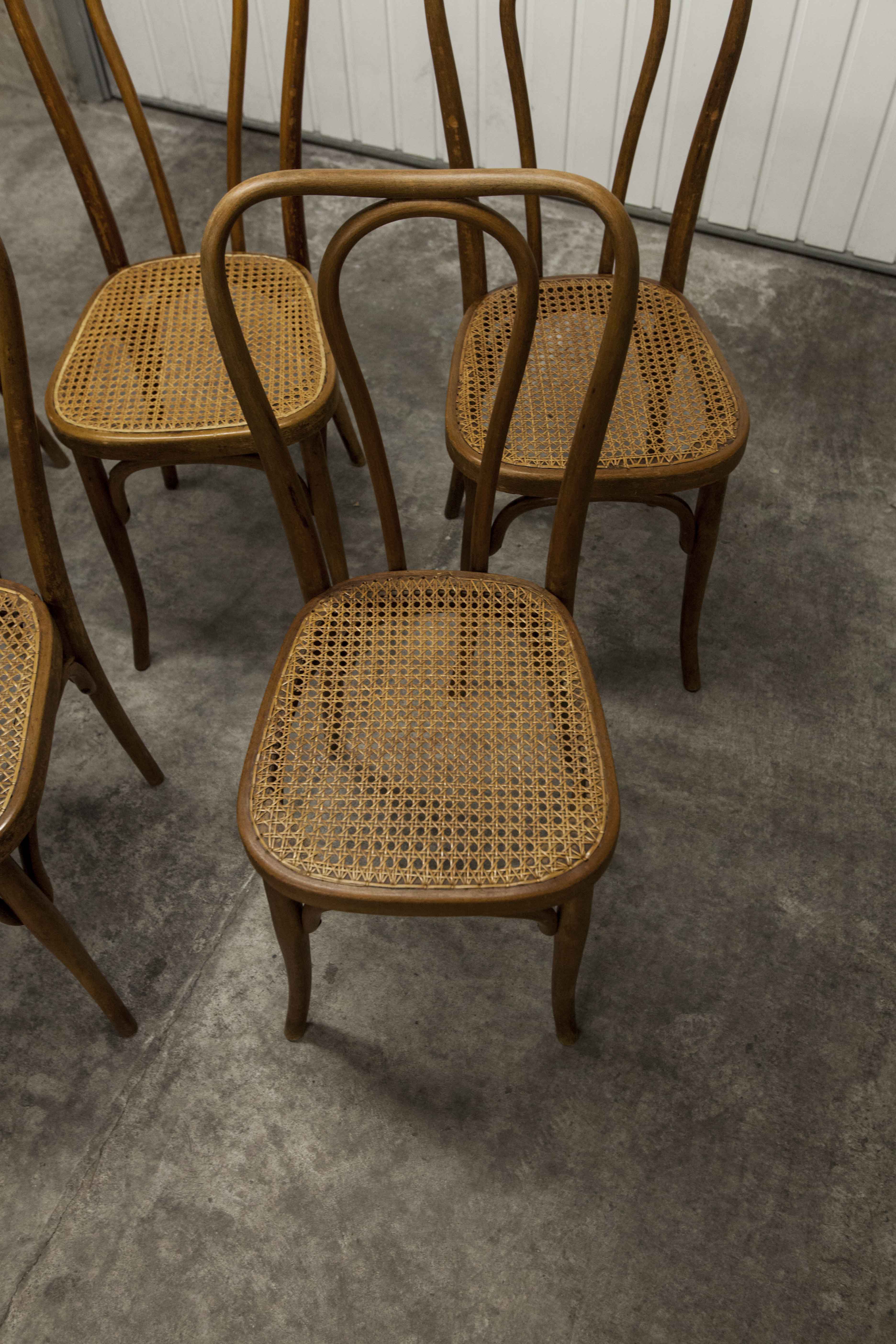 Set of 6 chairs bistro j&j kohn 1900 seat cannage