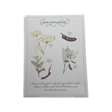 Botanical board "Tisane to exempt"