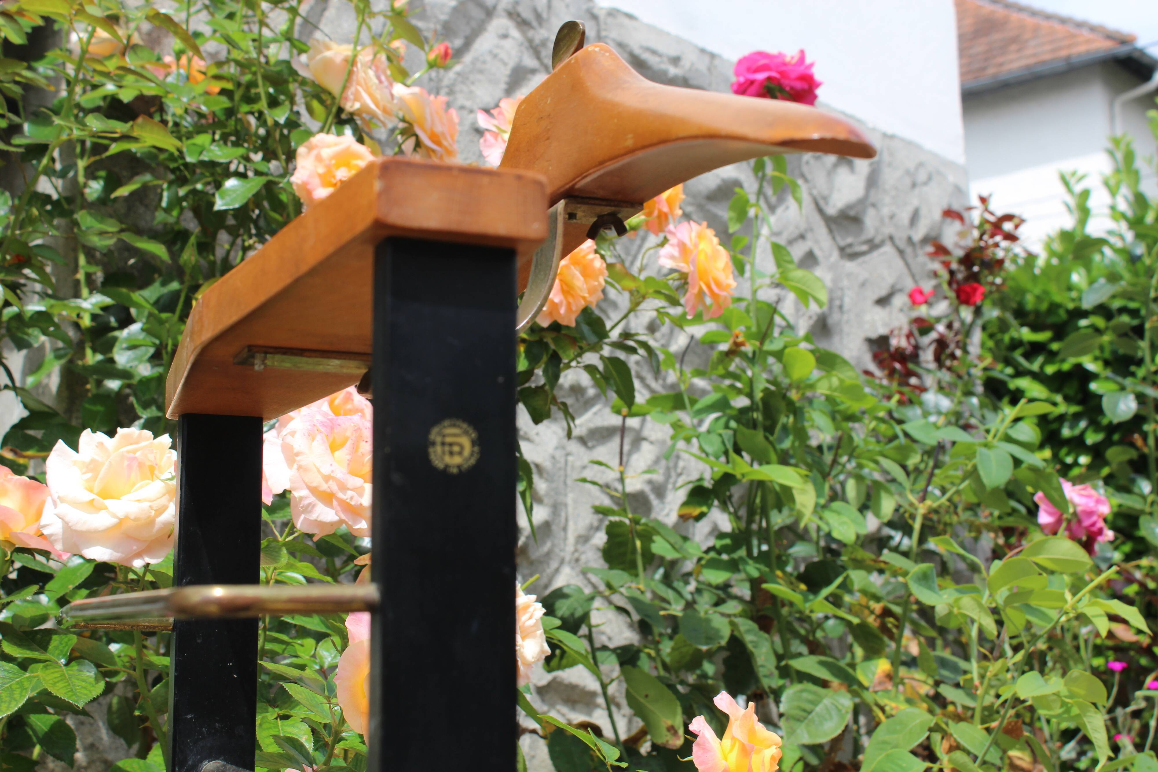 Night valet by Ico Parisi