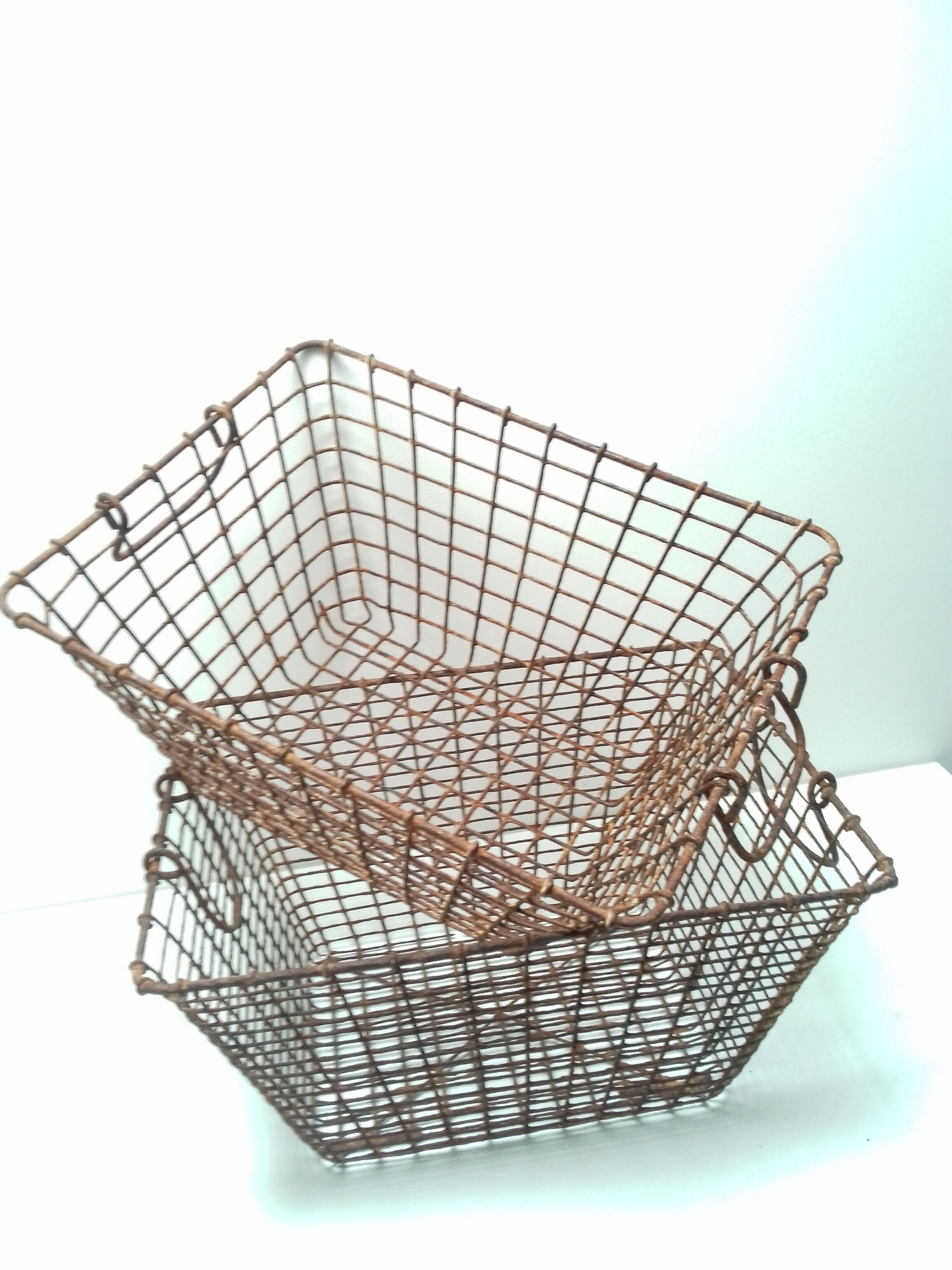 Basket for oysters "Manne"
